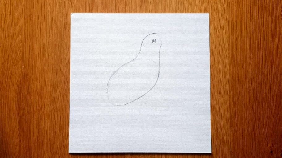 Bird Drawing