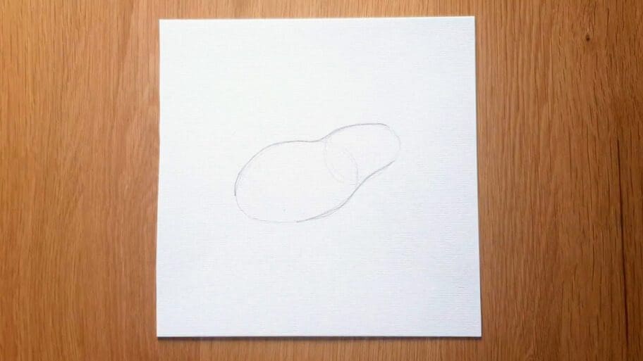 Frog Drawing
