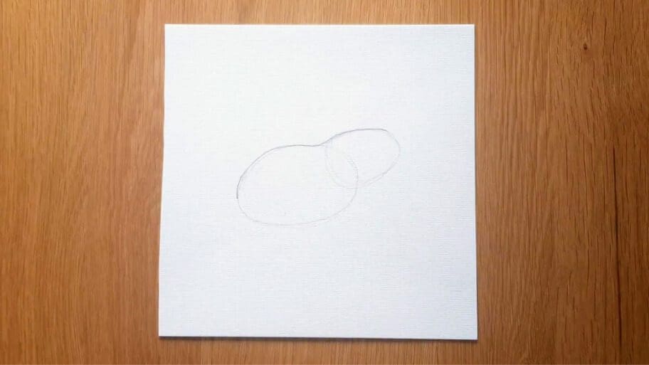 Frog Drawing