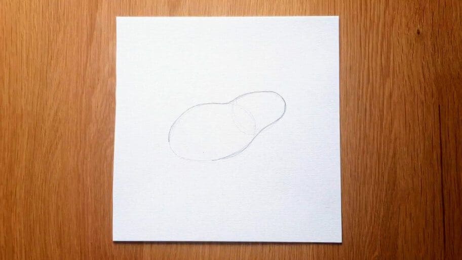 Frog Drawing