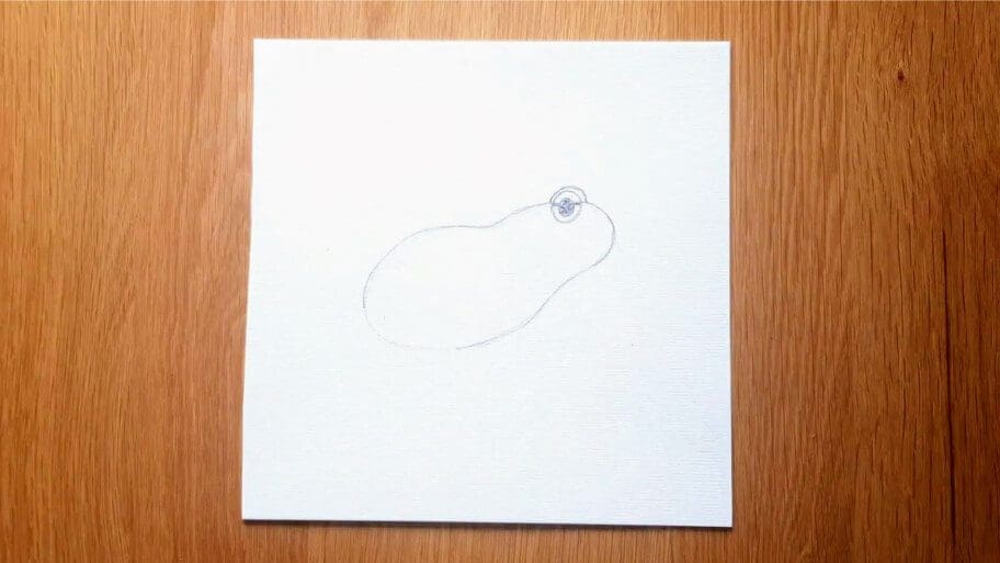 Frog Drawing