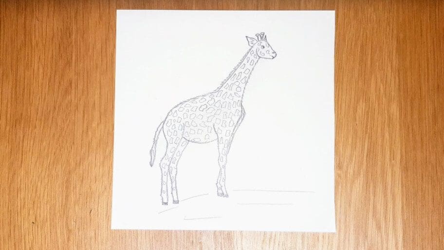 Giraffe Drawing