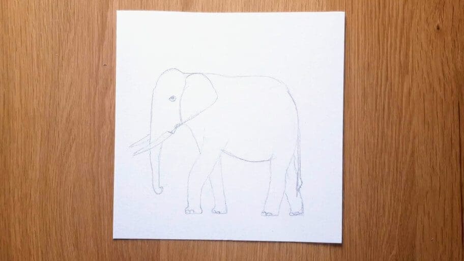 Elephant Drawing