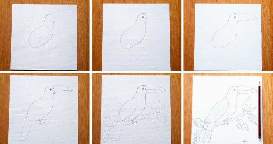 Bird_Drawing_Collage