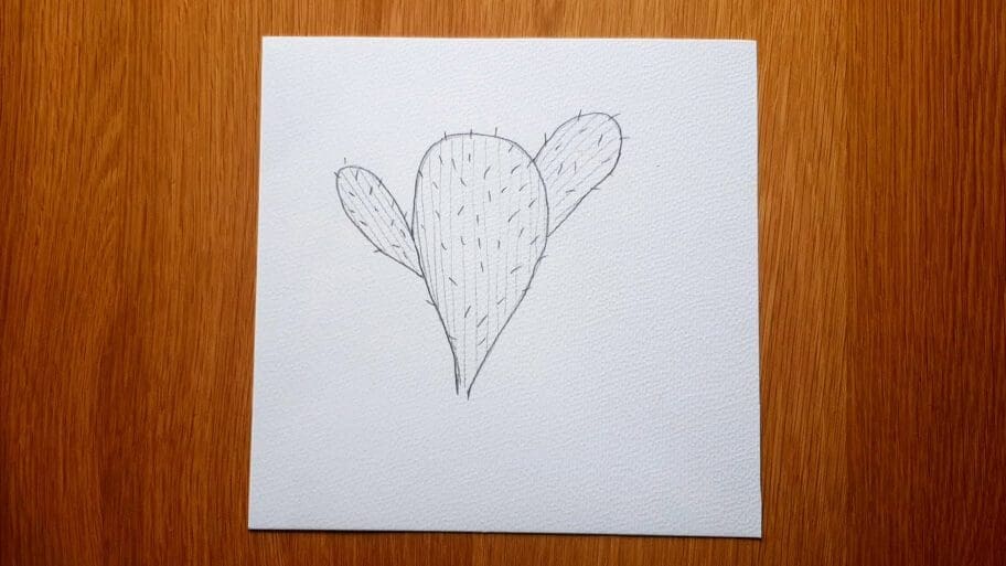 Cactus Drawing Cactus