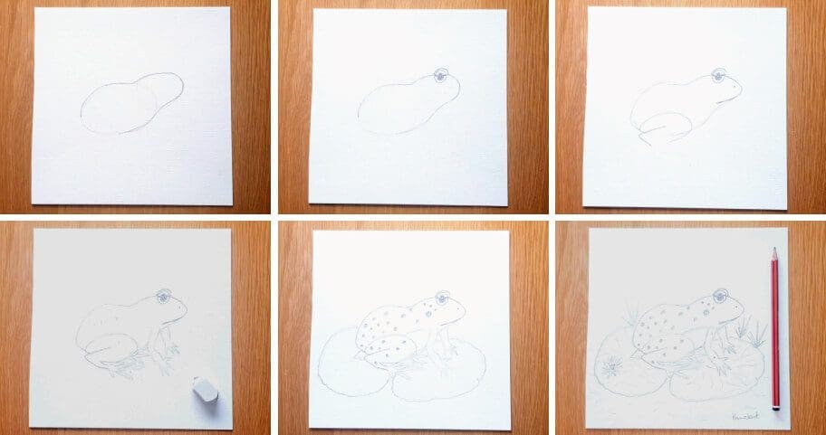 Frog_Drawing_Collage