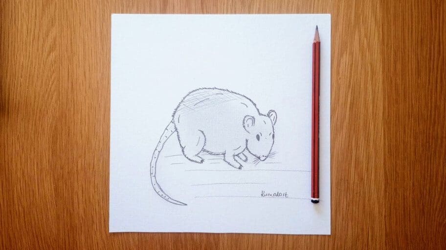 Mouse Drawing